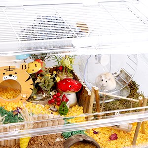 hamster In cage