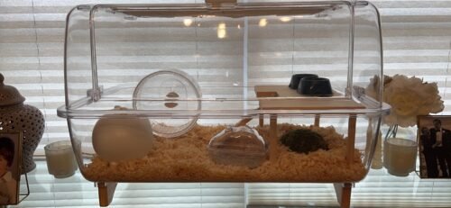 Hamster Cages:25.5-inch extra-large transparent hamster cage photo review
