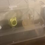 Hamster Cages:25.5-inch extra-large transparent hamster cage photo review