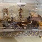 Hamster Cages:25.5-inch extra-large transparent hamster cage photo review