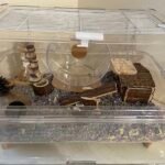 Hamster Cages:25.5-inch extra-large transparent hamster cage photo review