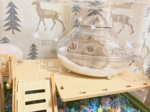 Submarine Hamster Sand Bath Container Large Hamster Toilet photo review