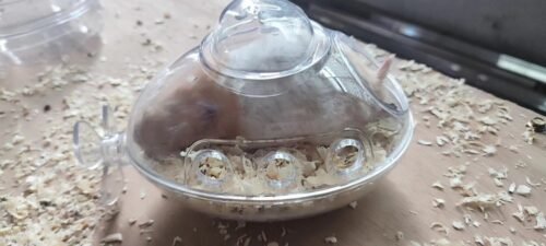 Submarine Hamster Sand Bath Container Large Hamster Toilet photo review