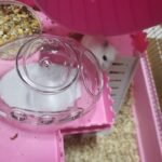Submarine Hamster Sand Bath Container Large Hamster Toilet photo review